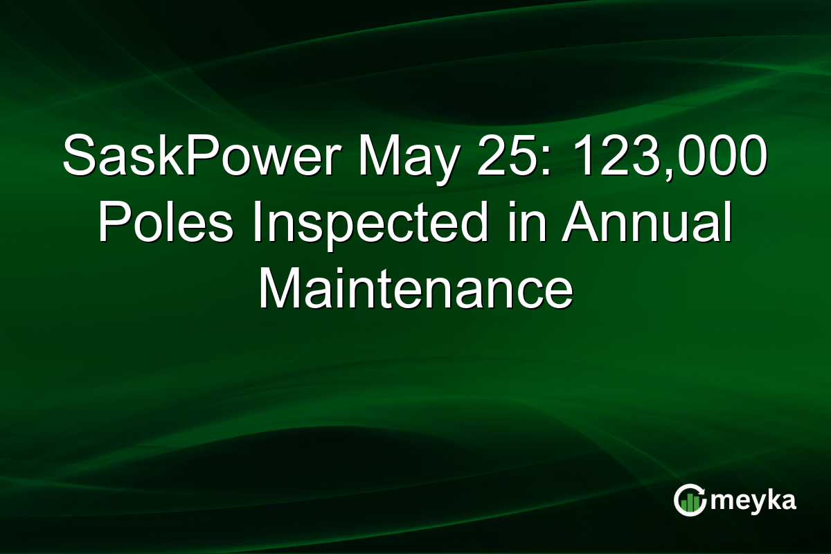 SaskPower May 25: 123,000 Poles Inspected in Annual Maintenance
