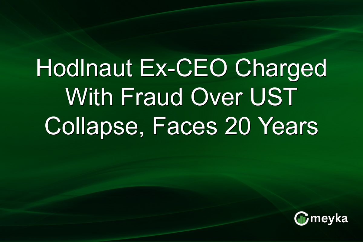 Hodlnaut Ex-CEO Charged With Fraud Over UST Collapse, Faces 20 Years