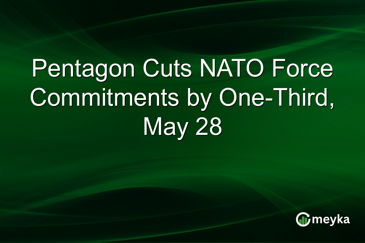 Pentagon Cuts NATO Force Commitments by One-Third, May 28