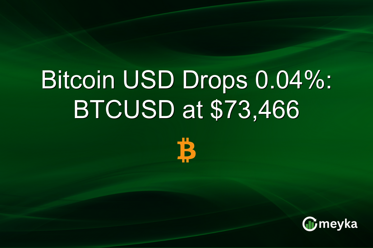 Bitcoin USD Drops 0.04%: BTCUSD at $73,466