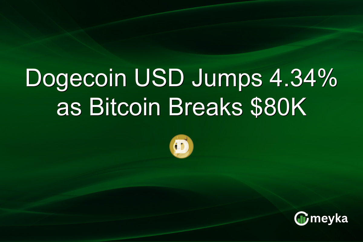 Dogecoin USD Jumps 4.34% as Bitcoin Breaks $80K