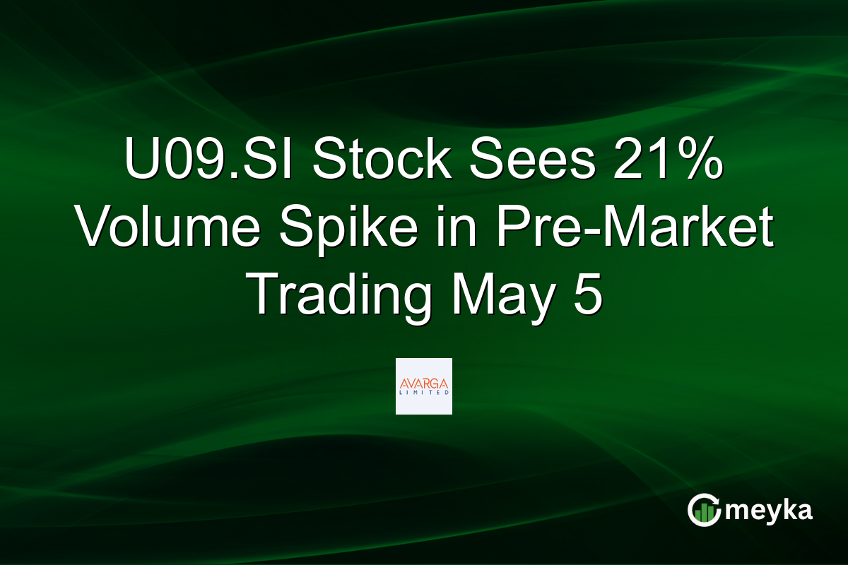 U09.SI Stock Sees 21% Volume Spike in Pre-Market Trading May 5