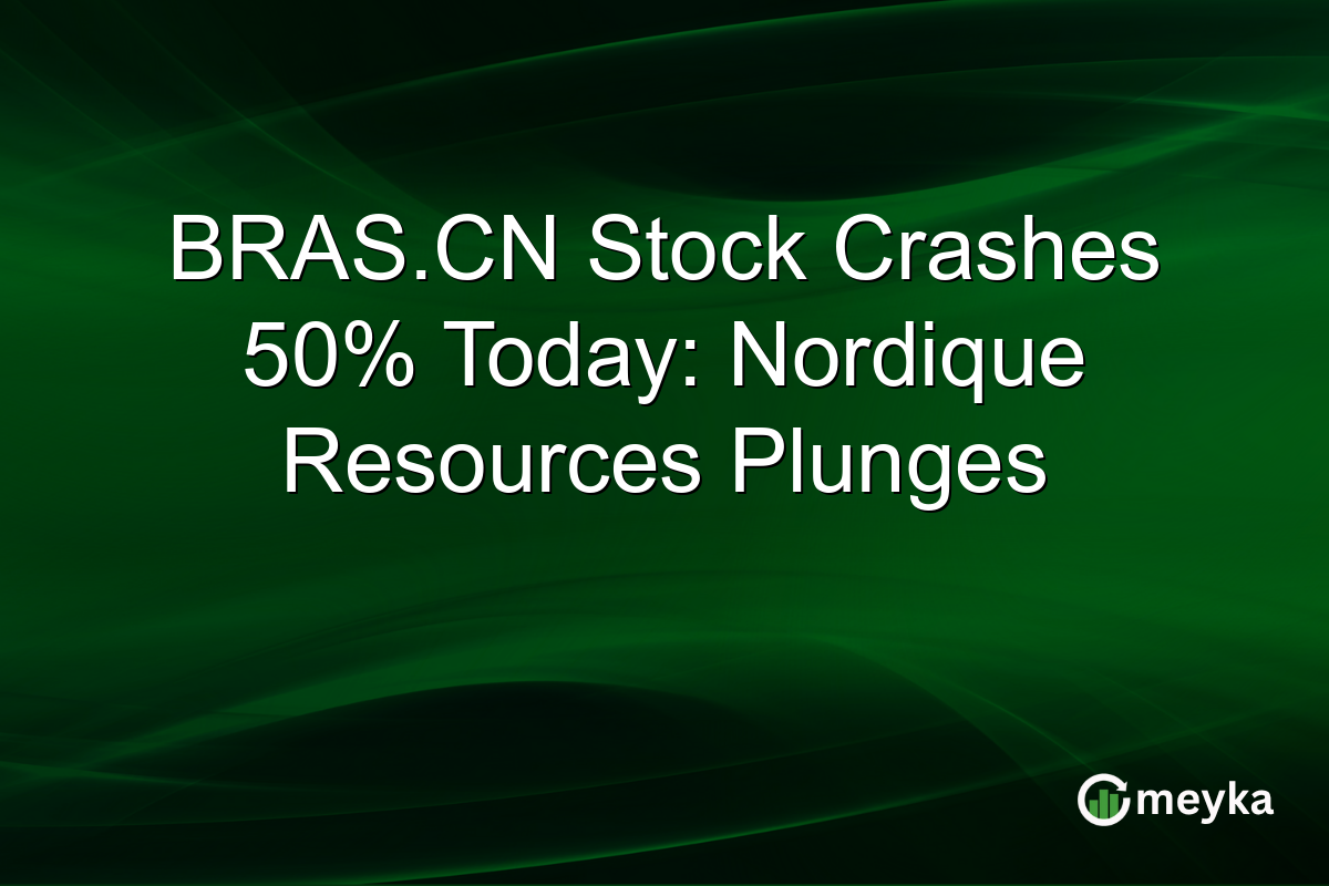 BRAS.CN Stock Crashes 50% Today: Nordique Resources Plunges