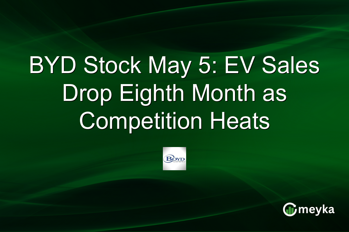 BYD Stock May 5: EV Sales Drop Eighth Month as Competition Heats