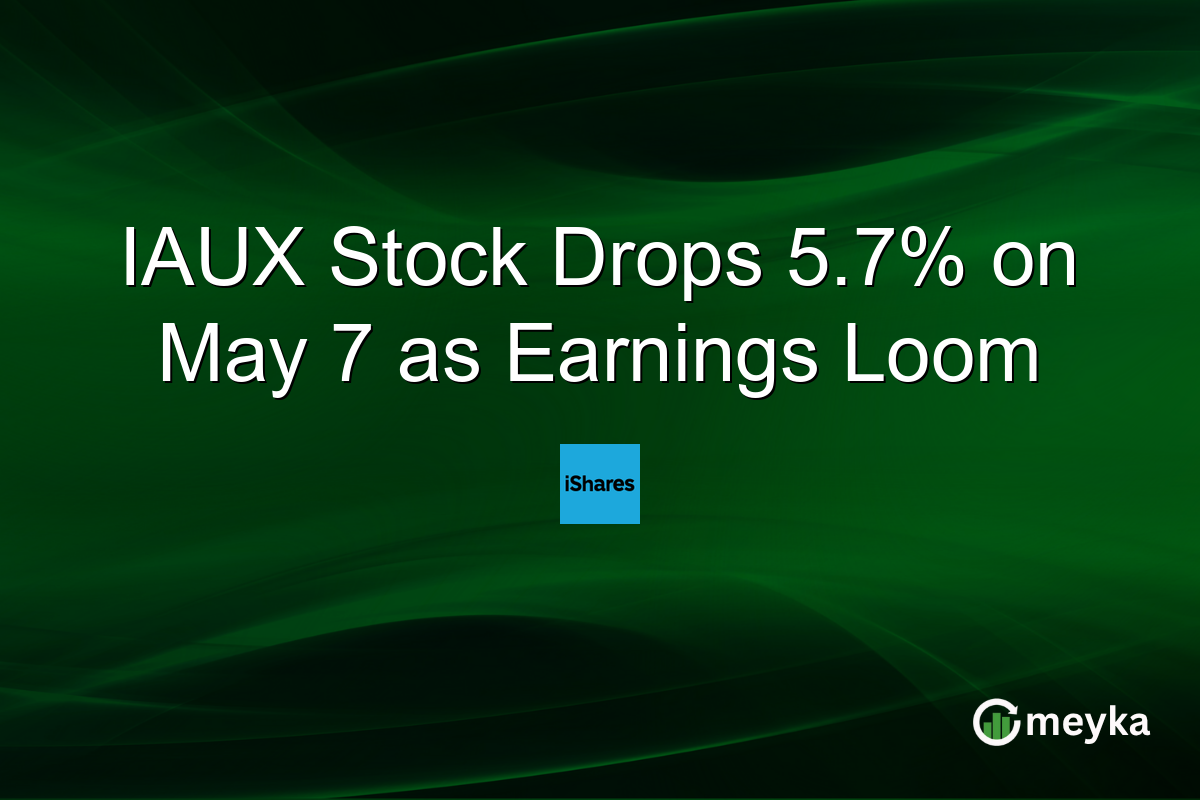 IAUX Stock Drops 5.7% on May 7 as Earnings Loom