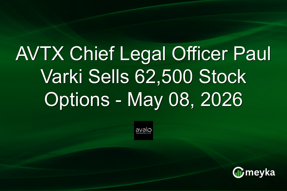 30L3.DE Stock Plunges 52% on XETRA: Solutions 30 SE May 2026