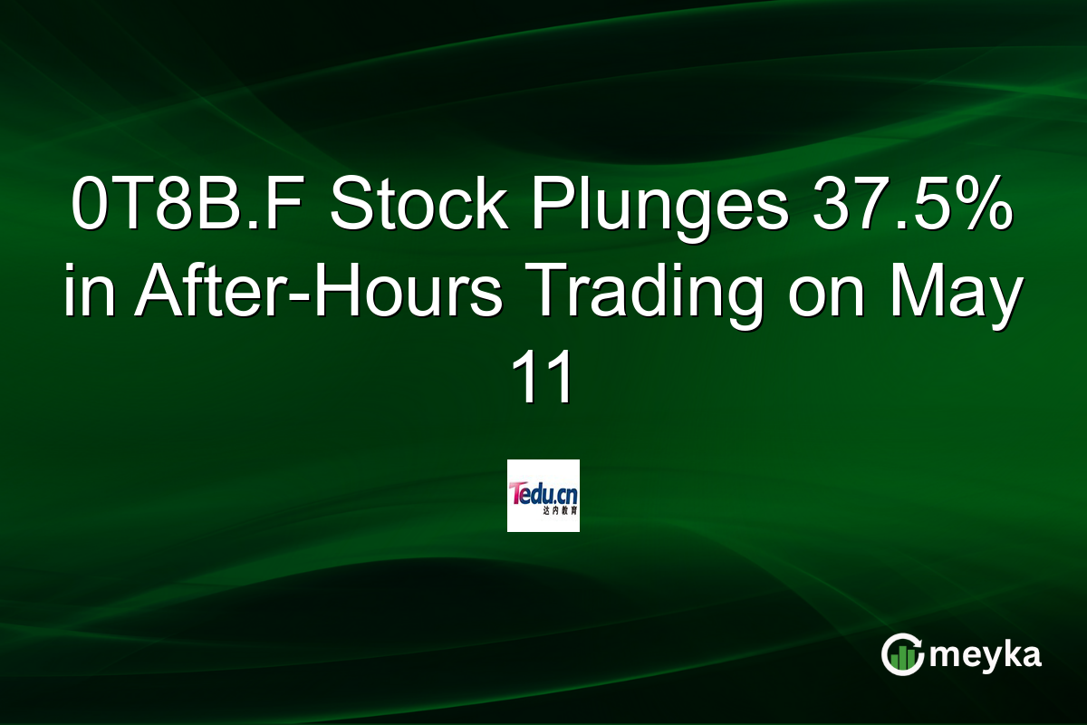 0T8B.F Stock Plunges 37.5% in After-Hours Trading on May 11