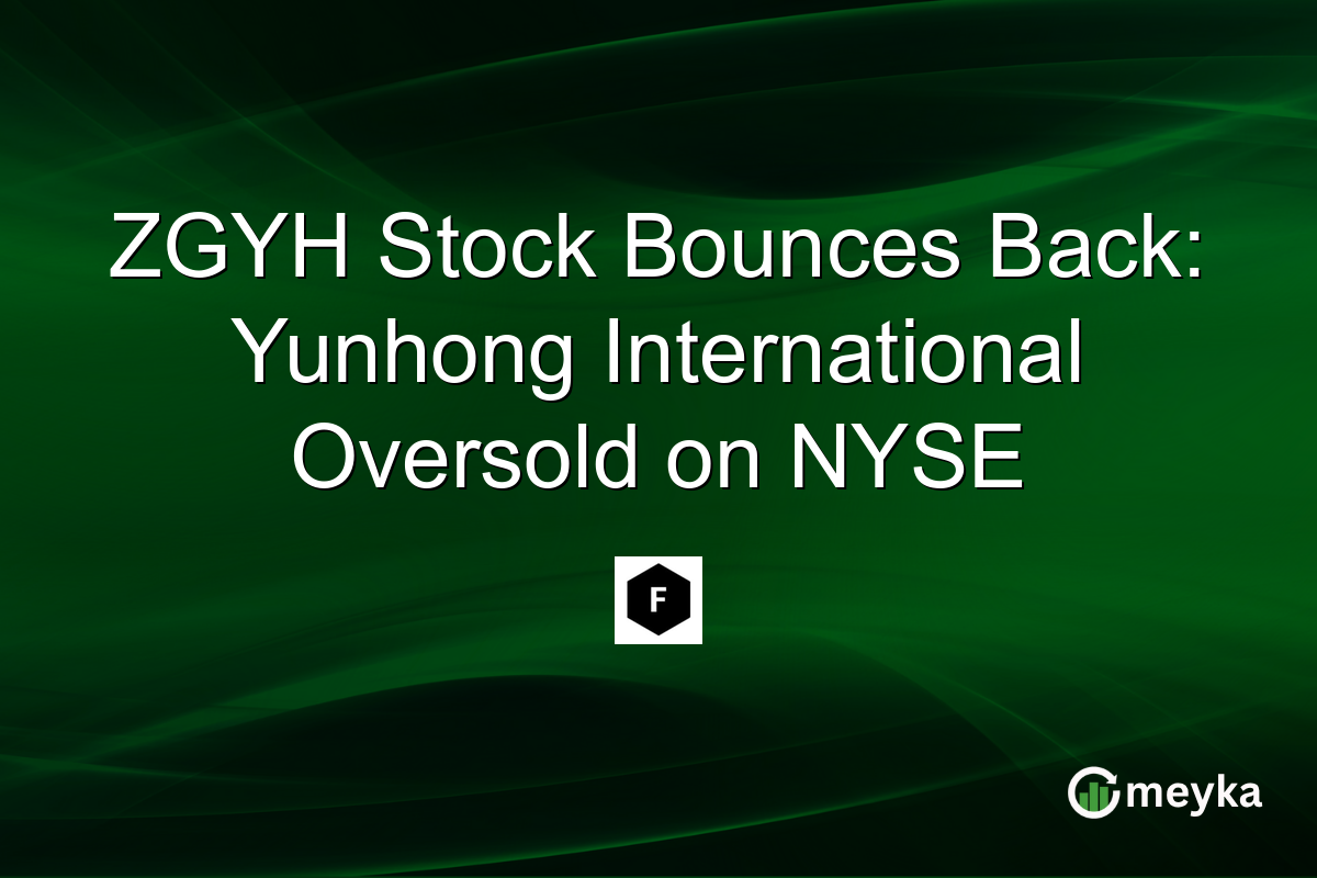 ZGYH Stock Bounces Back: Yunhong International Oversold on NYSE