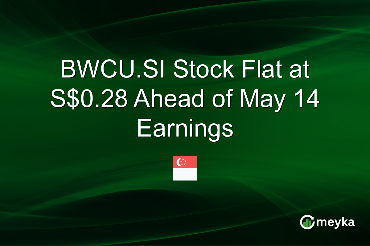 BWCU.SI Stock Flat at S$0.28 Ahead of May 14 Earnings