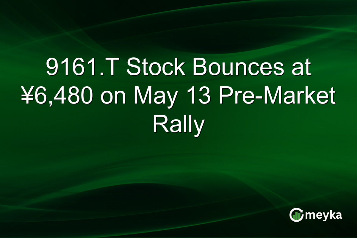 9161.T Stock Bounces at ¥6,480 on May 13 Pre-Market Rally