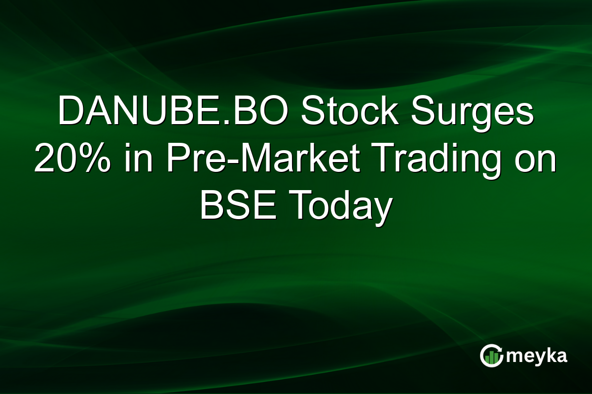 DANUBE.BO Stock Surges 20% in Pre-Market Trading on BSE Today