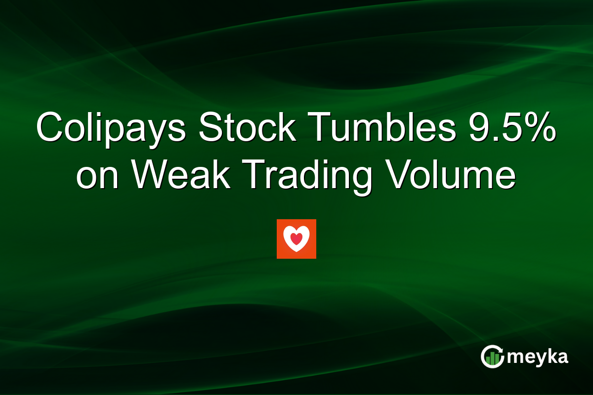 Colipays Stock Tumbles 9.5% on Weak Trading Volume