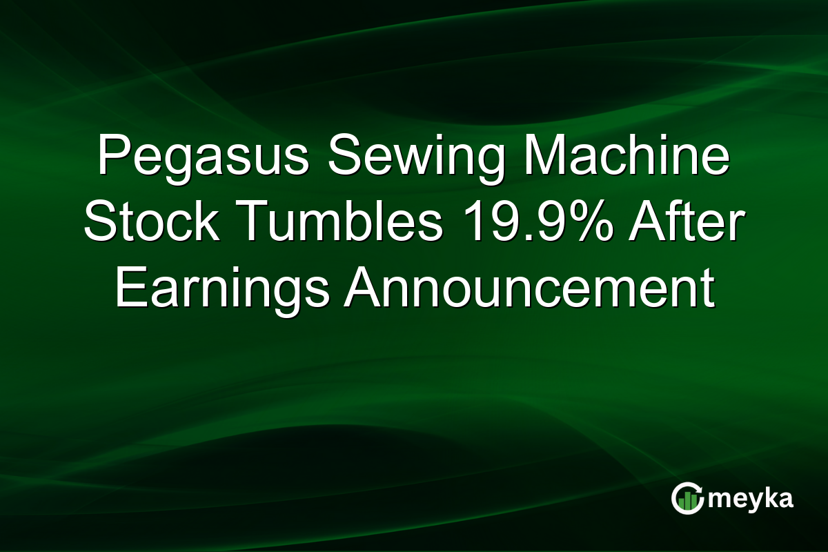 Pegasus Sewing Machine Stock Tumbles 19.9% After Earnings Announcement