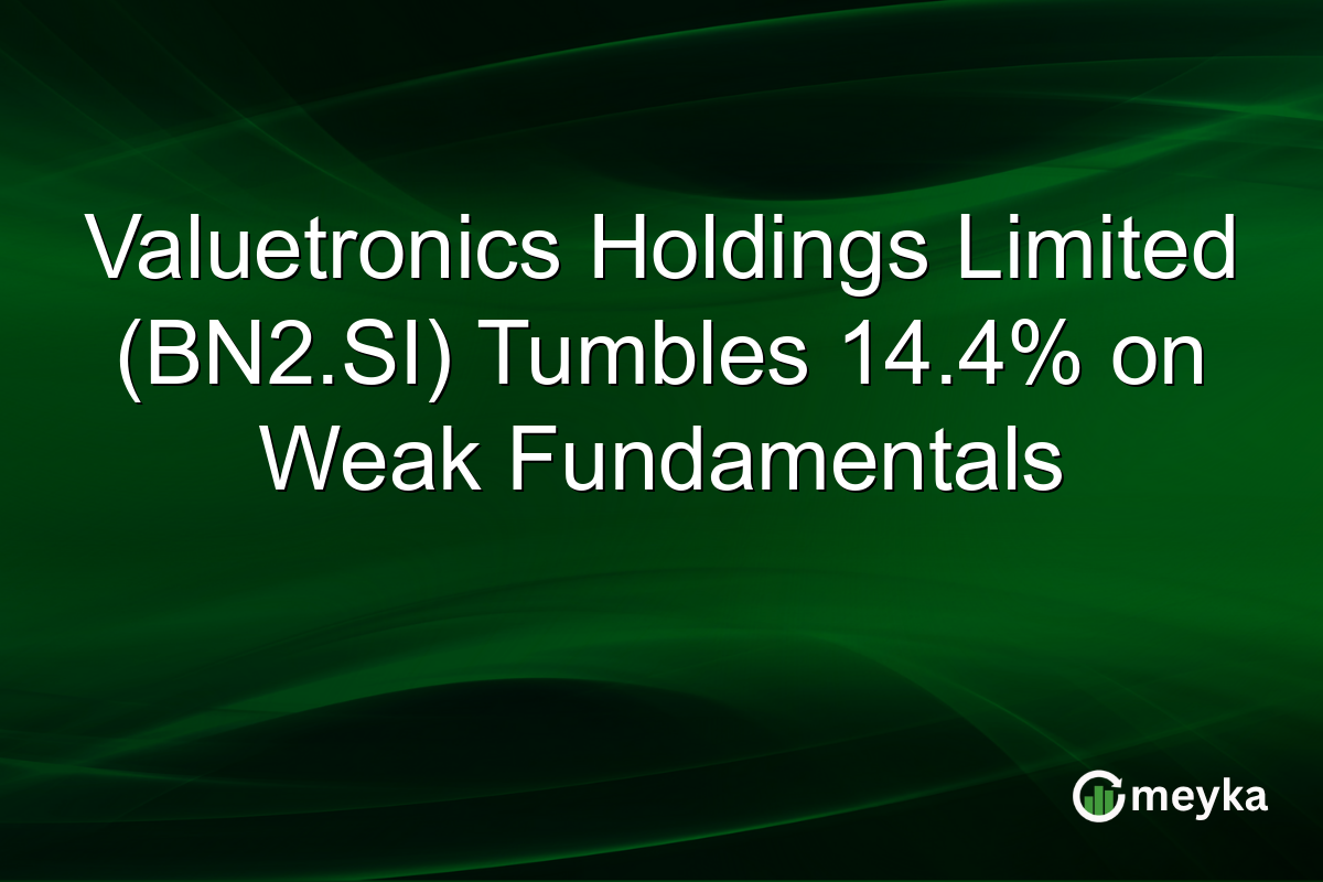 Valuetronics Holdings Limited (BN2.SI) Tumbles 14.4% on Weak Fundamentals
