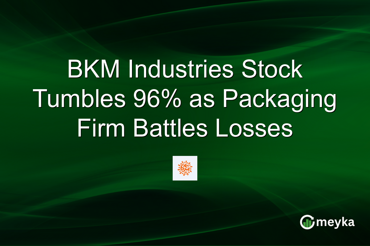 BKM Industries Stock Tumbles 96% as Packaging Firm Battles Losses