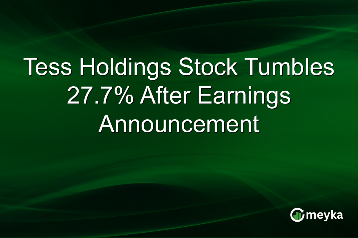 Tess Holdings Stock Tumbles 27.7% After Earnings Announcement
