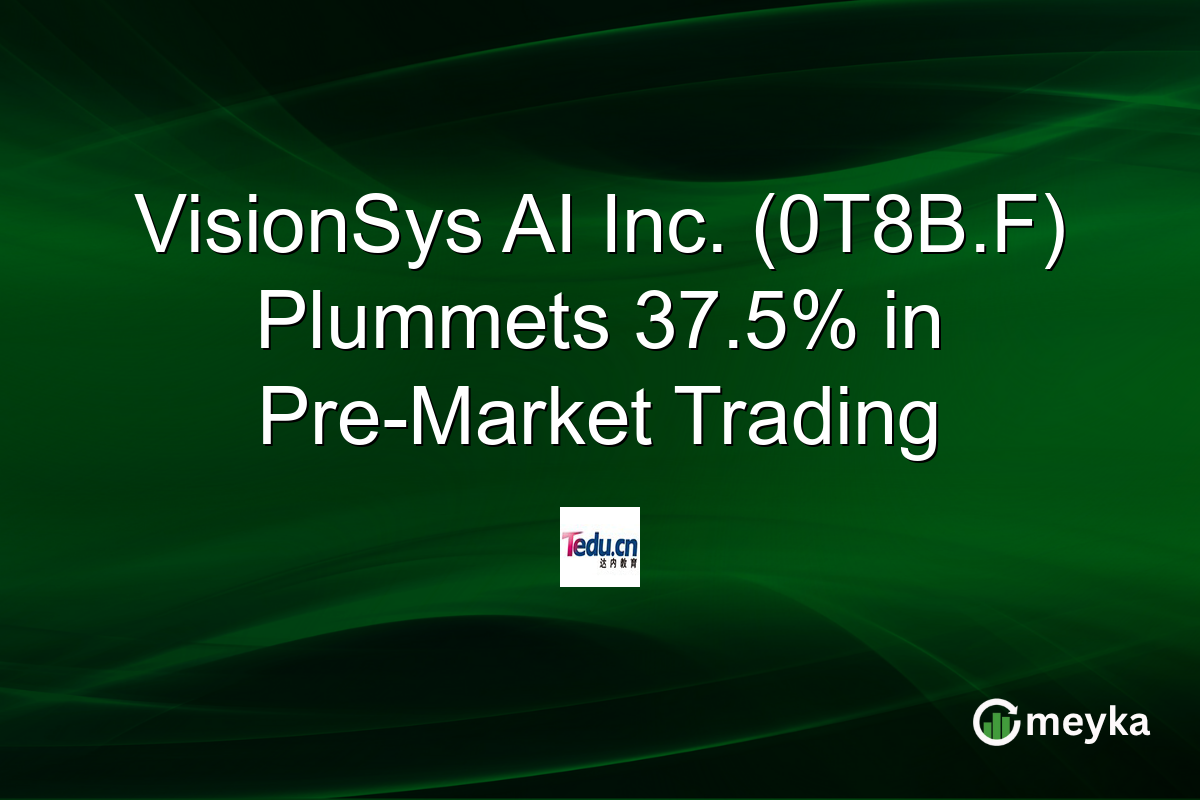 VisionSys AI Inc. (0T8B.F) Plummets 37.5% in Pre-Market Trading