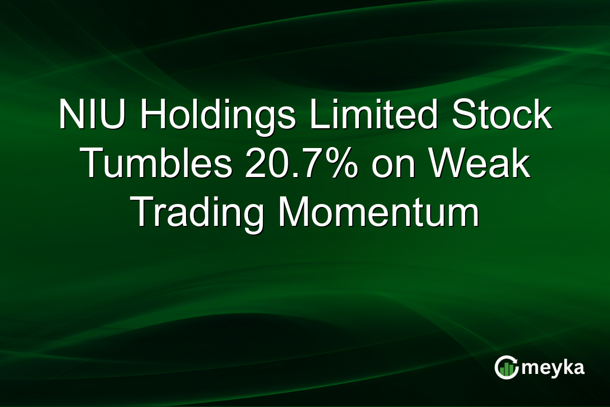 NIU Holdings Limited Stock Tumbles 20.7% on Weak Trading Momentum