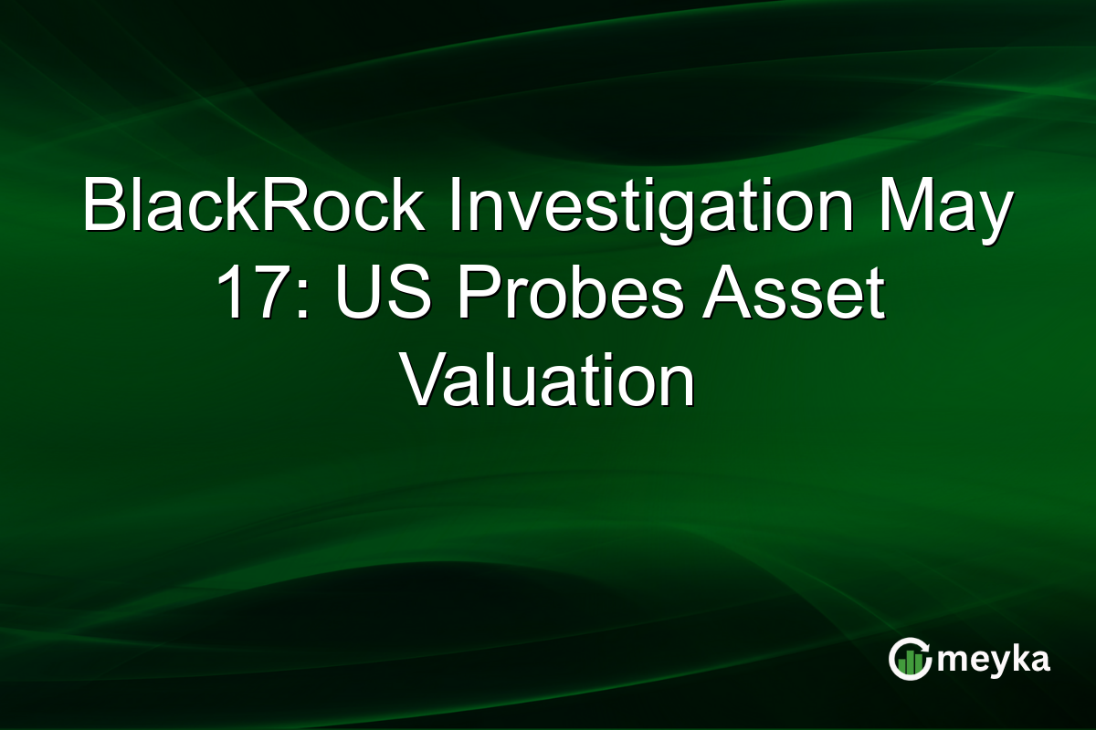 BlackRock Investigation May 17: US Probes Asset Valuation