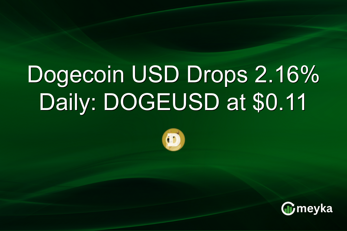 Dogecoin USD Drops 2.16% Daily: DOGEUSD at $0.11