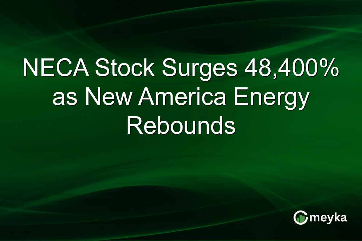 NECA Stock Surges 48,400% as New America Energy Rebounds