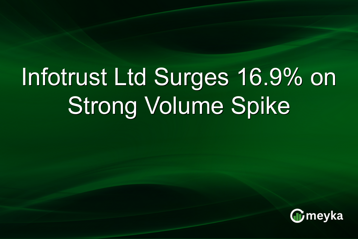 Infotrust Ltd Surges 16.9% on Strong Volume Spike