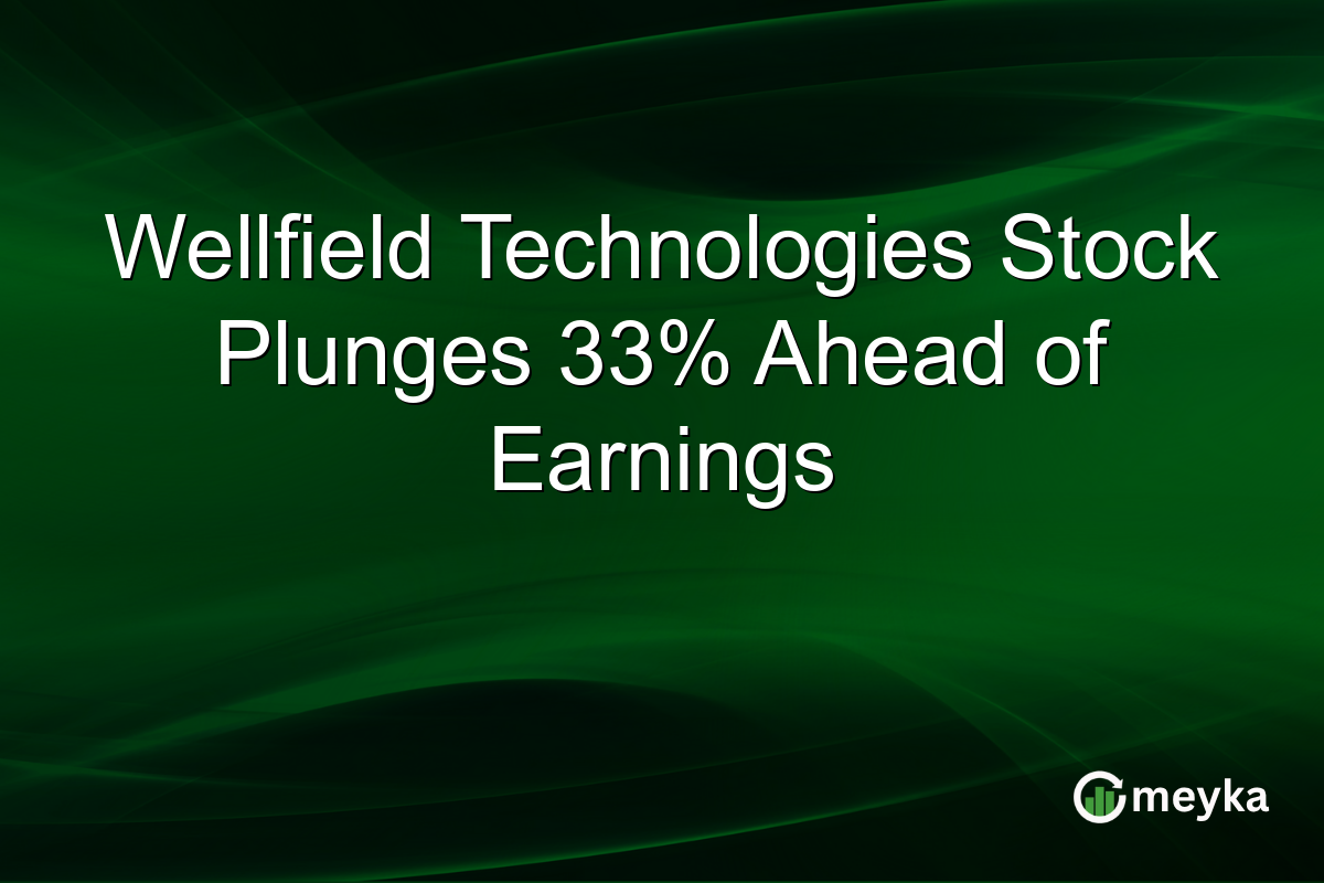 Wellfield Technologies Stock Plunges 33% Ahead of Earnings