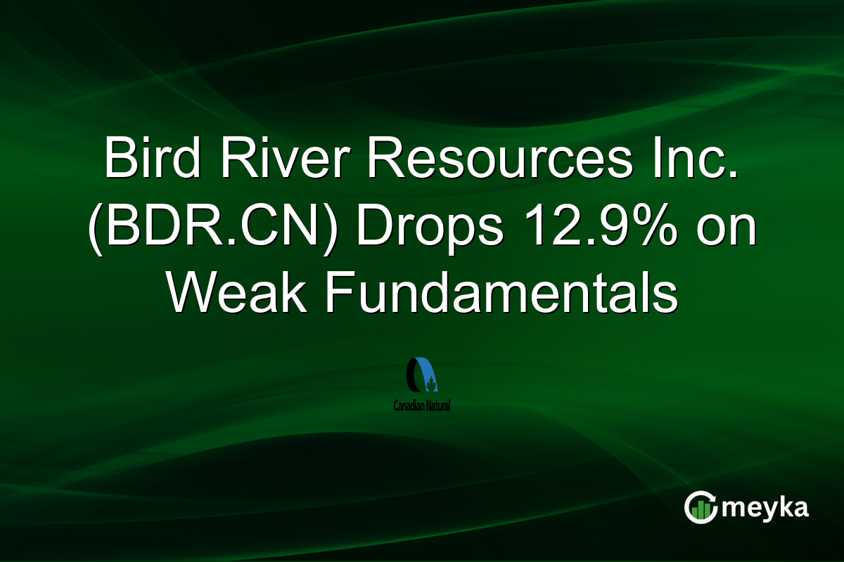 Bird River Resources Inc. (BDR.CN) Drops 12.9% on Weak Fundamentals