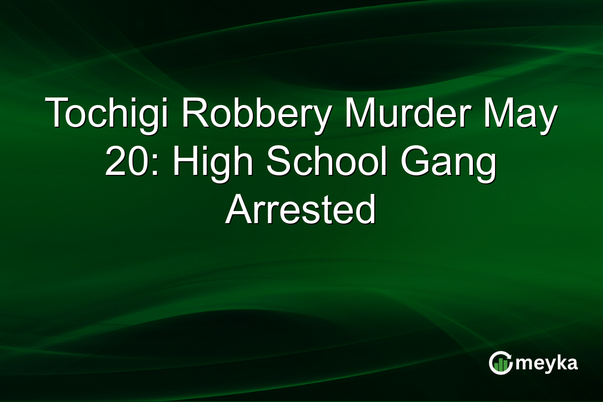 Tochigi Robbery Murder May 20: High School Gang Arrested