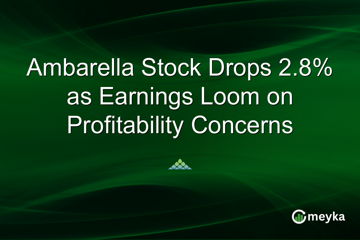 Ambarella Stock Drops 2.8% as Earnings Loom on Profitability Concerns
