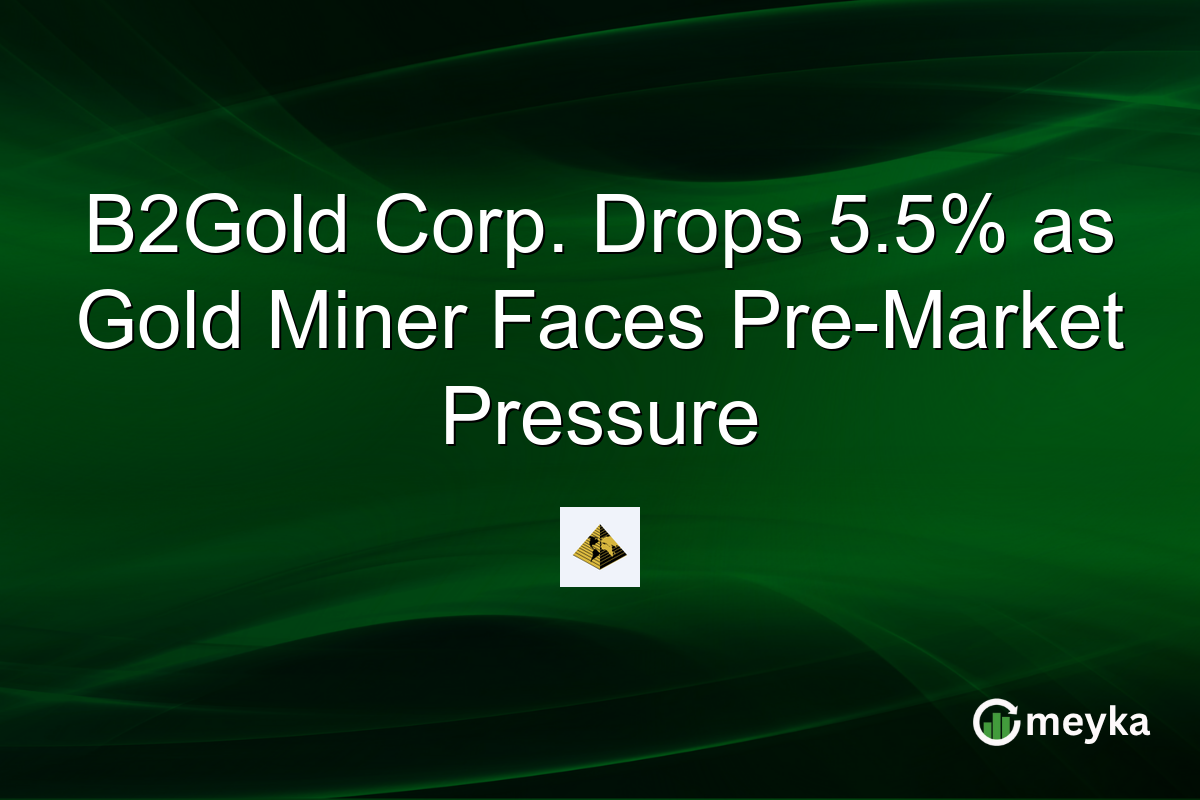 B2Gold Corp. Drops 5.5% as Gold Miner Faces Pre-Market Pressure