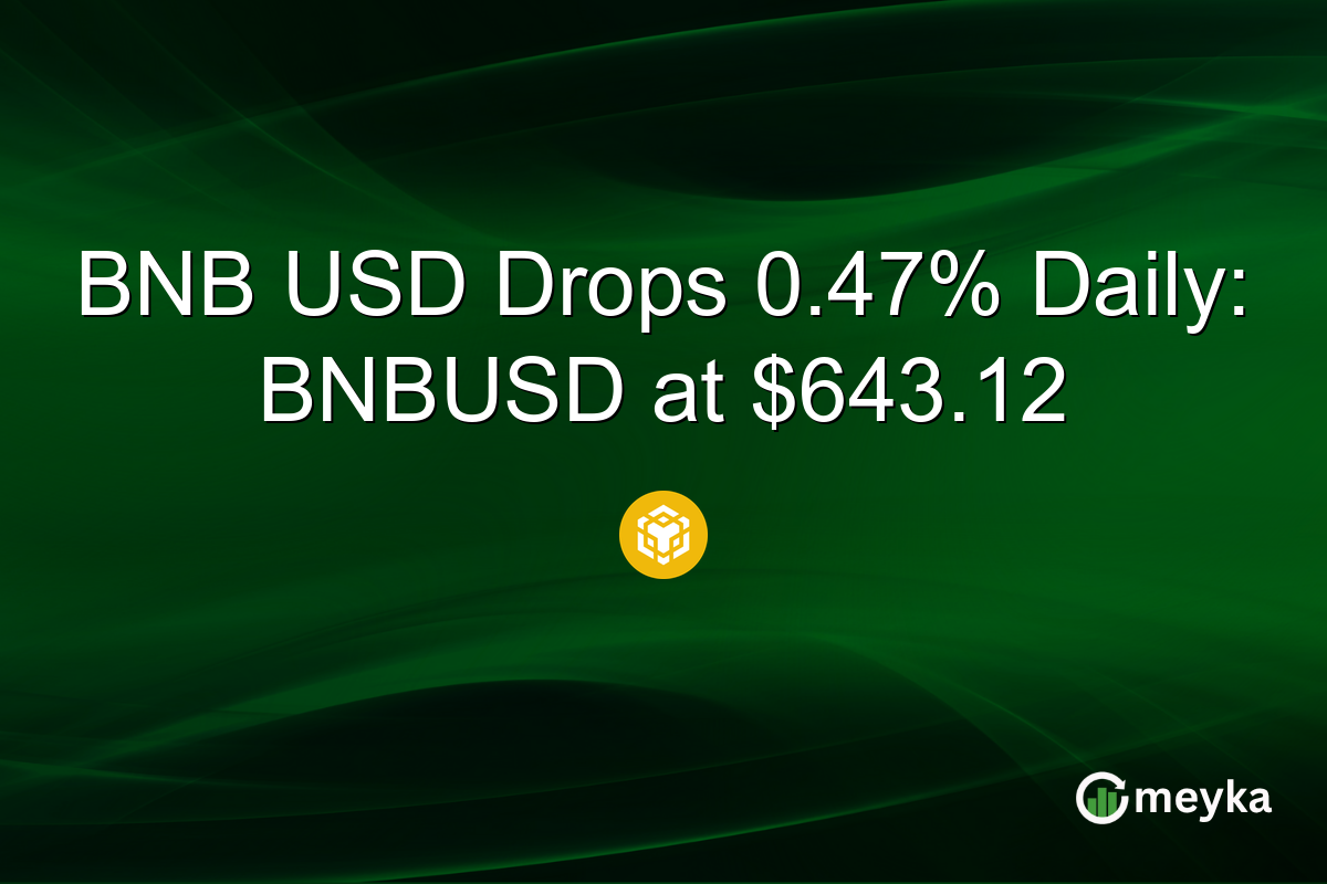 BNB USD Drops 0.47% Daily: BNBUSD at $643.12