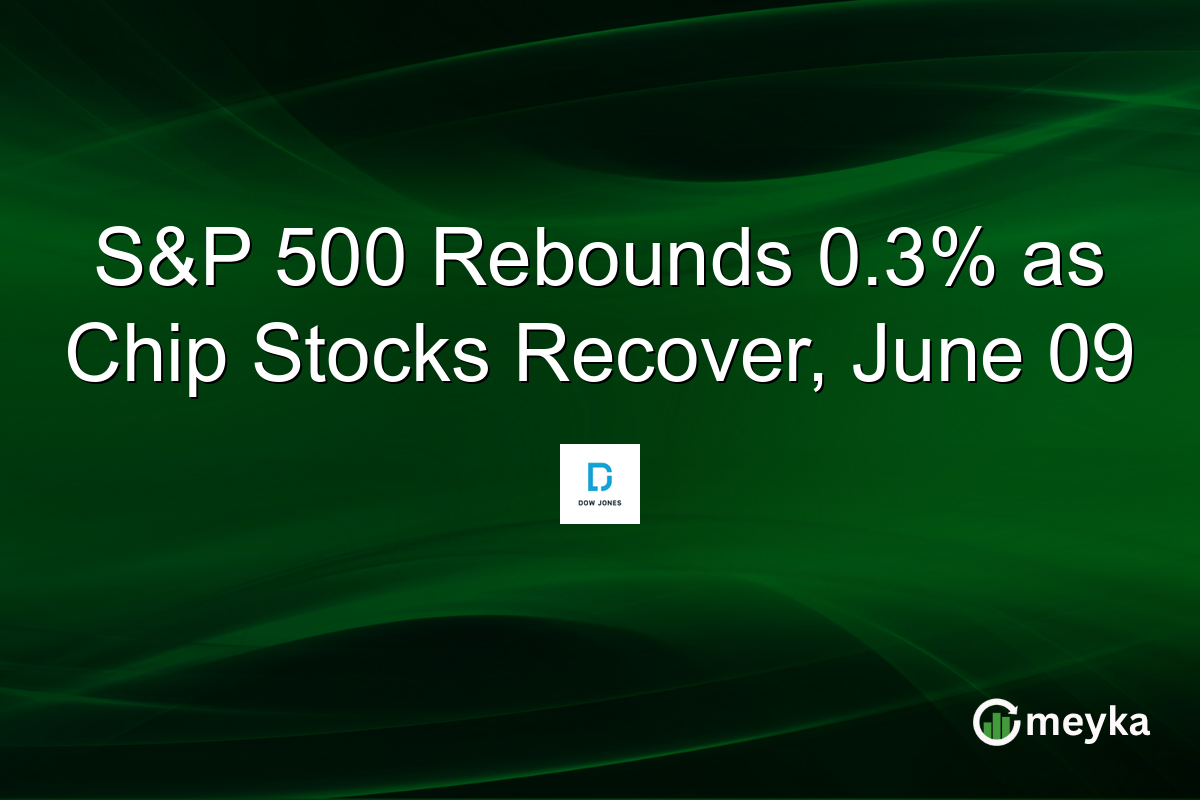 S&P 500 Rebounds 0.3% as Chip Stocks Recover, June 09