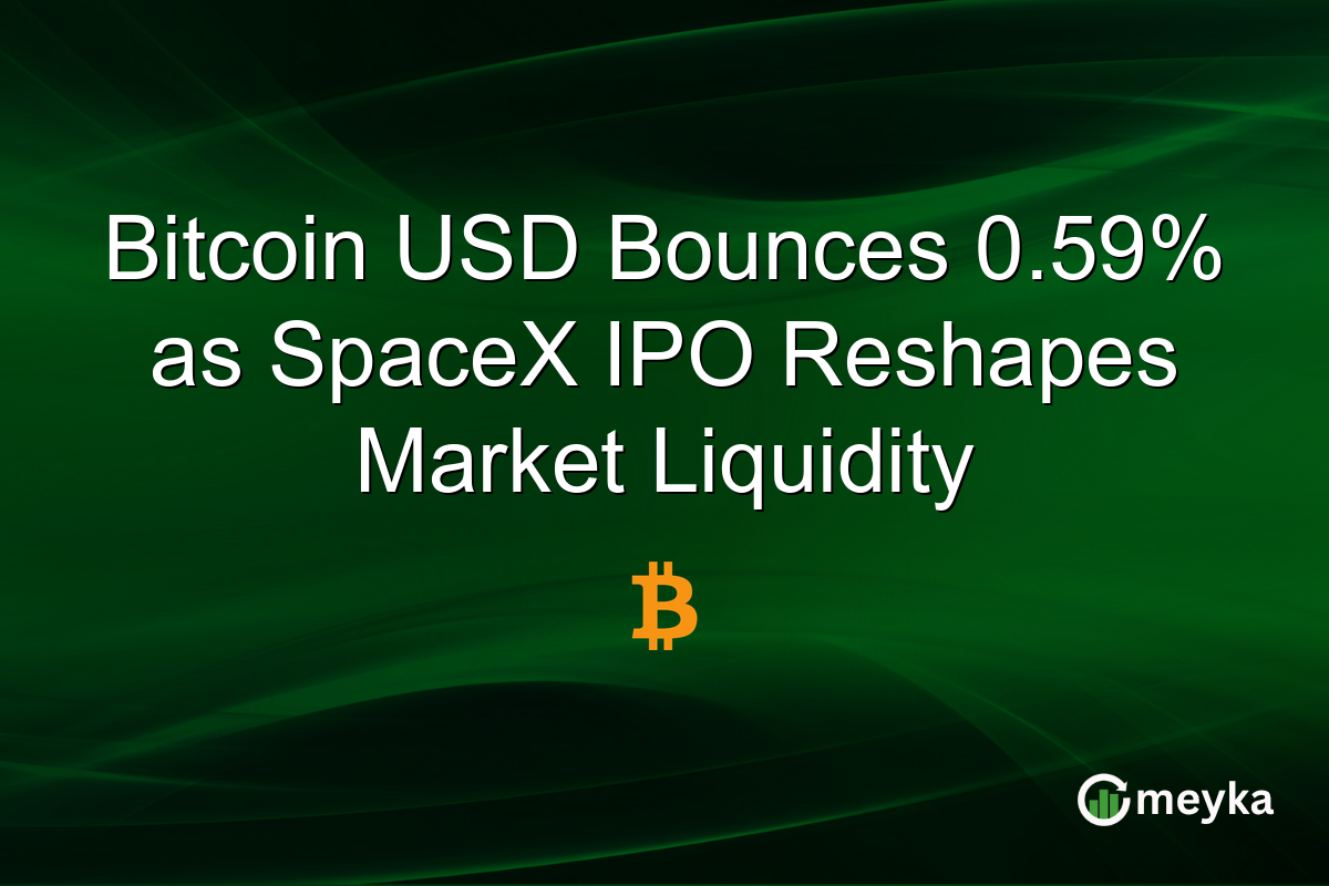 Bitcoin USD Bounces 0.59% as SpaceX IPO Reshapes Market Liquidity