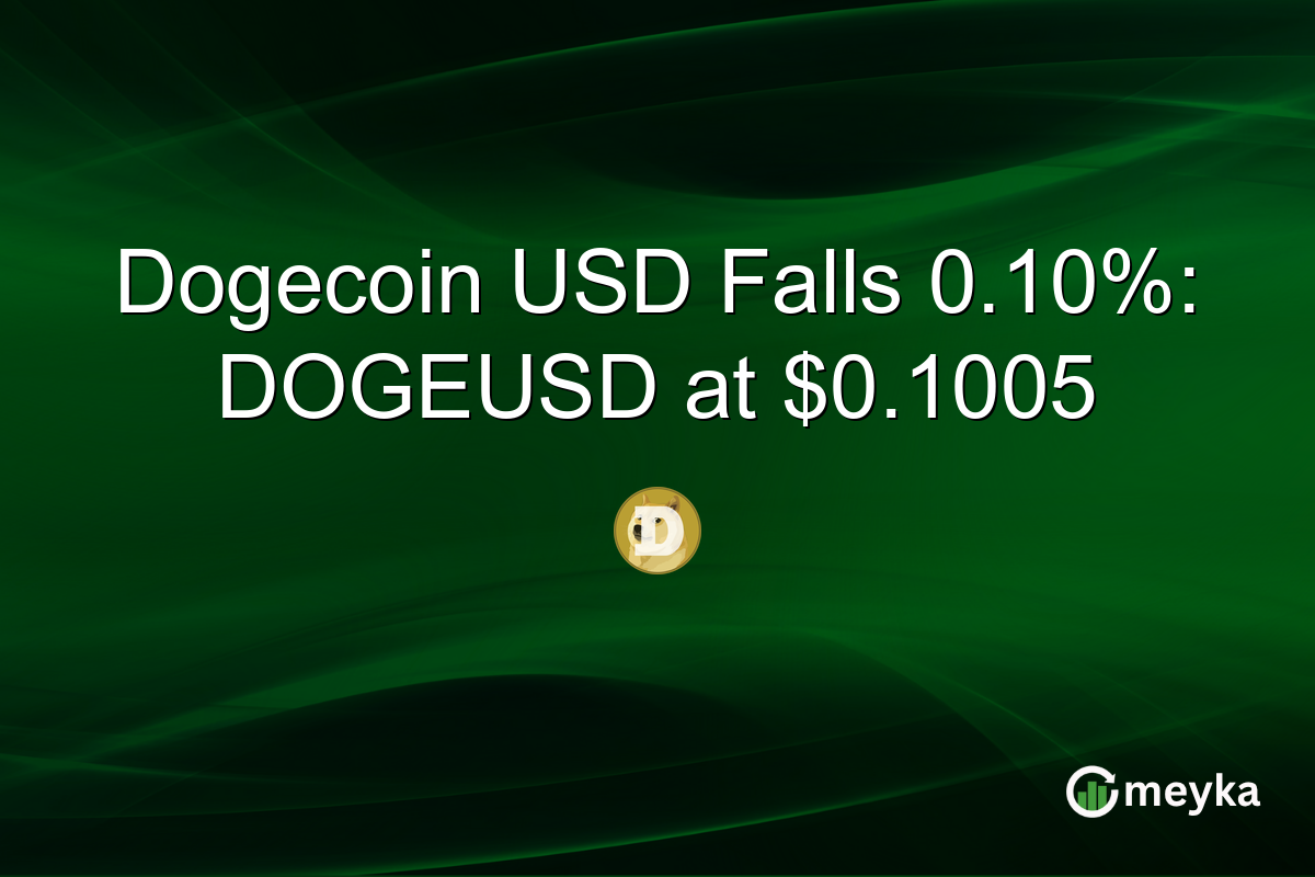 Dogecoin USD Falls 0.10%: DOGEUSD at $0.1005