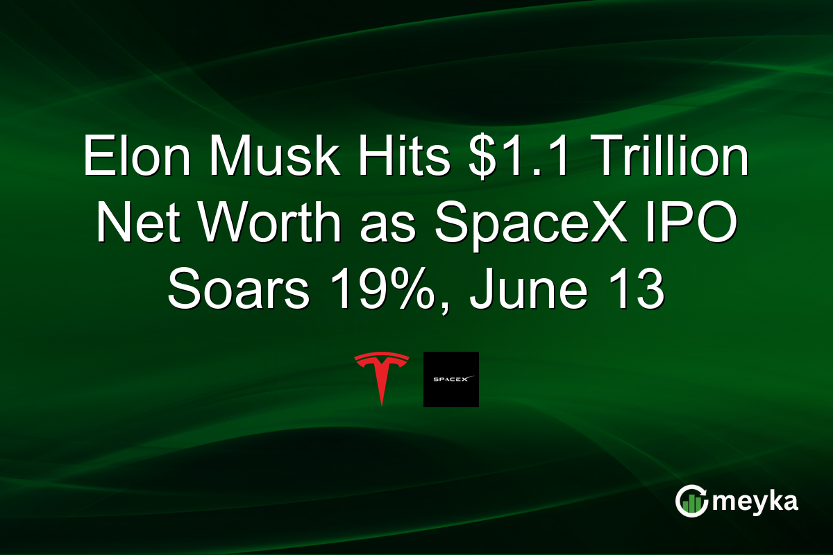 Elon Musk Hits $1.1 Trillion Net Worth as SpaceX IPO Soars 19%, June 13