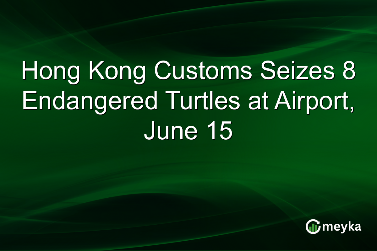 Hong Kong Customs Seizes 8 Endangered Turtles at Airport, June 15