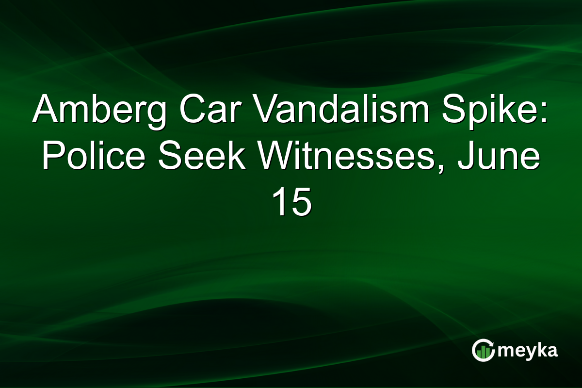 Amberg Car Vandalism Spike: Police Seek Witnesses, June 15