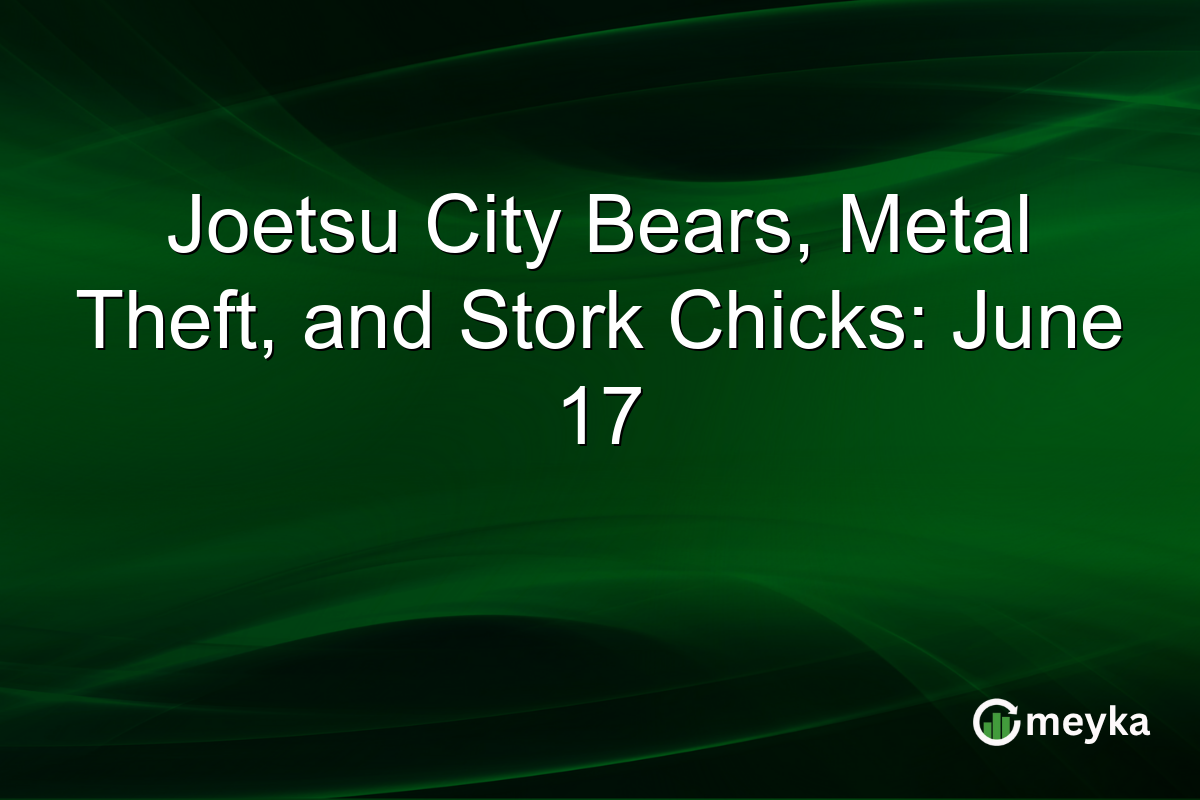 Joetsu City Bears, Metal Theft, and Stork Chicks: June 17