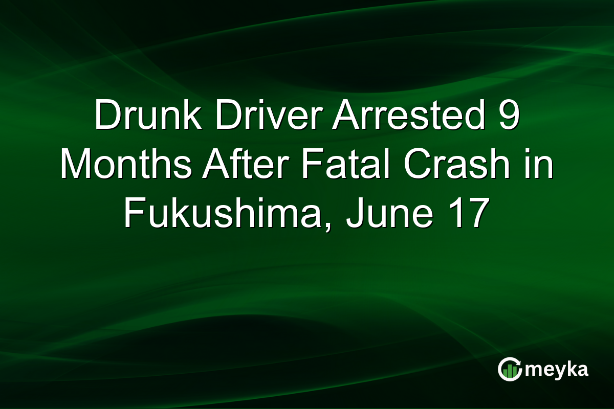 Drunk Driver Arrested 9 Months After Fatal Crash in Fukushima, June 17