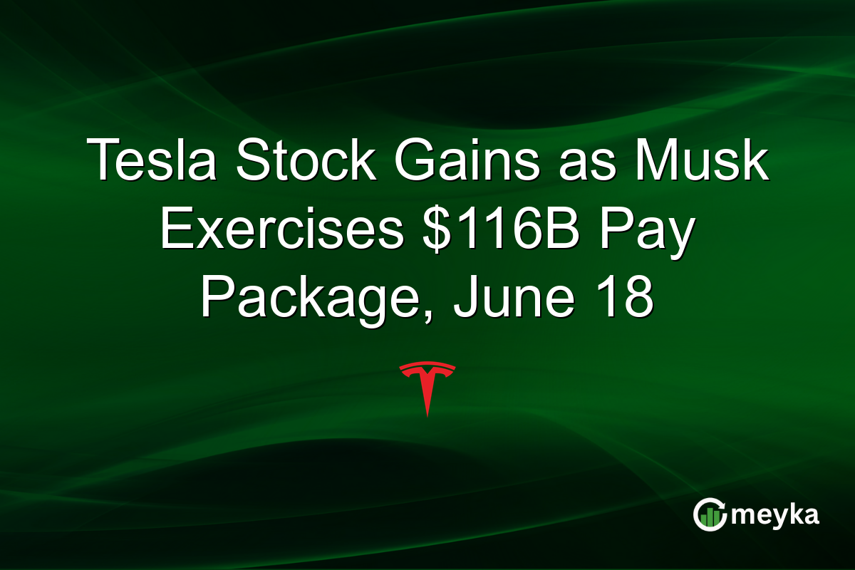 Tesla Stock Gains as Musk Exercises $116B Pay Package, June 18
