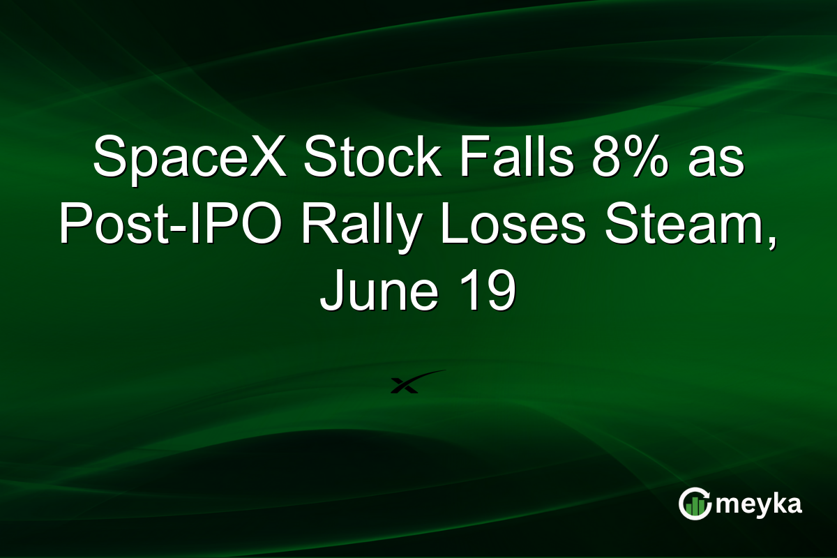 SpaceX Stock Falls 8% as Post-IPO Rally Loses Steam, June 19