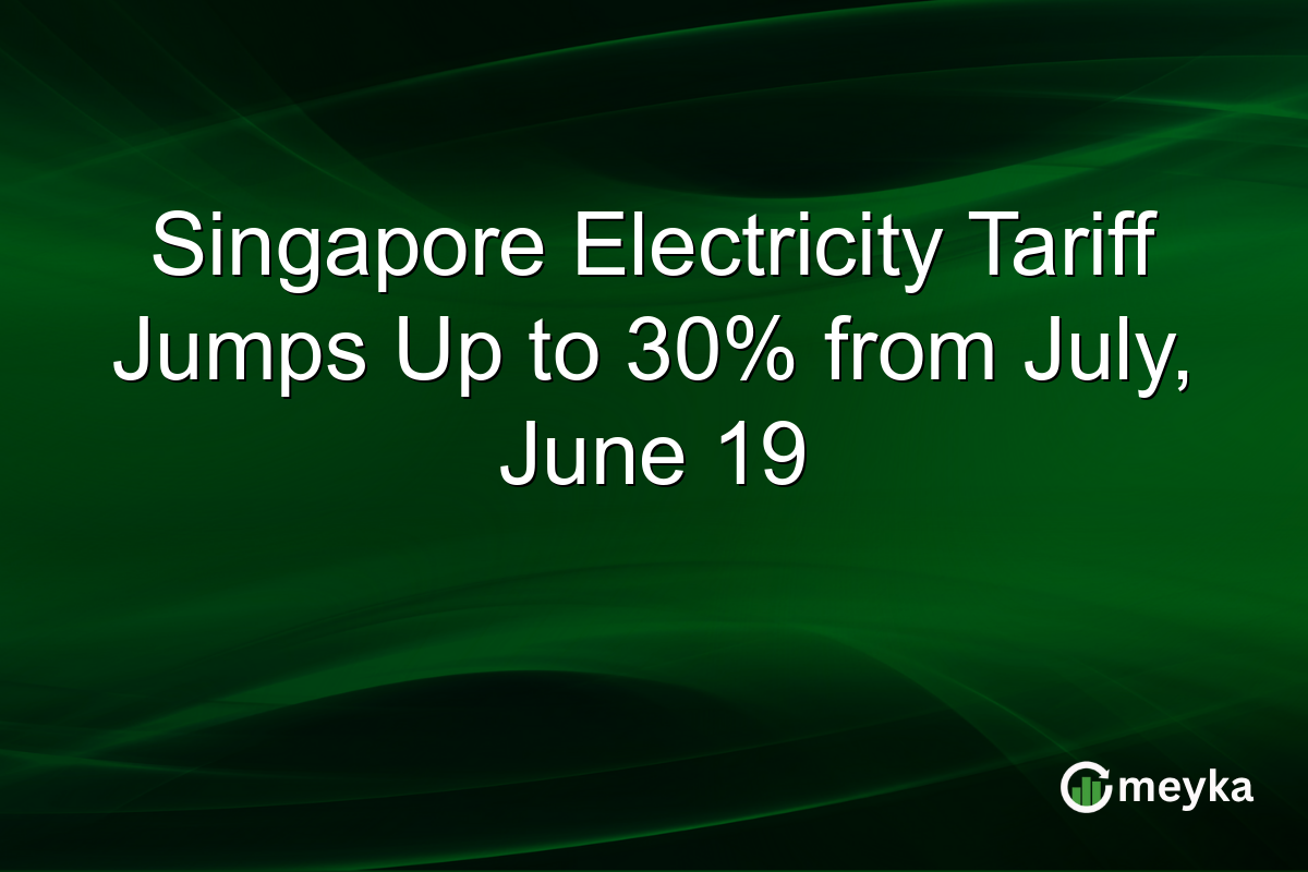 Singapore Electricity Tariff Jumps Up to 30% from July, June 19