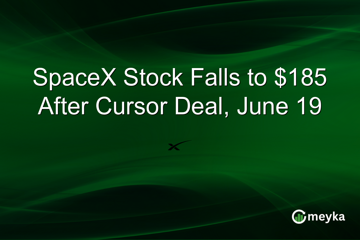 SpaceX Stock Falls to $185 After Cursor Deal, June 19