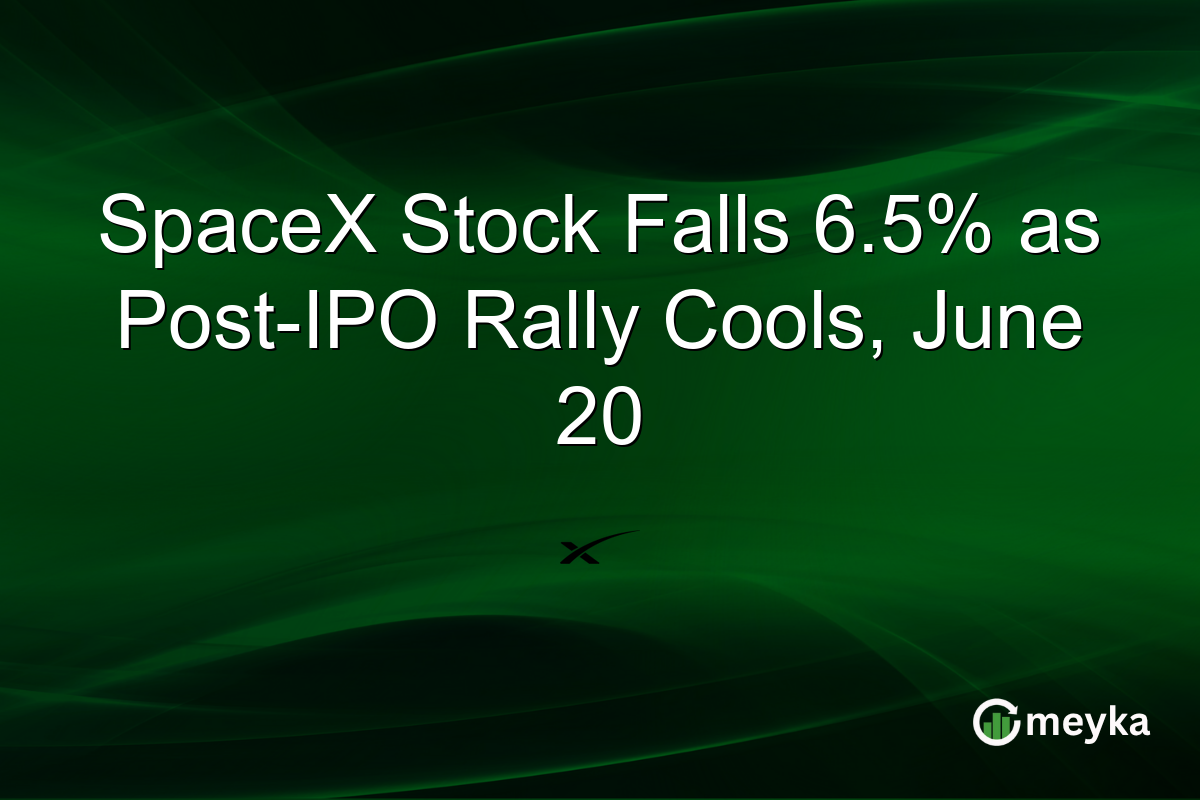 SpaceX Stock Falls 6.5% as Post-IPO Rally Cools, June 20