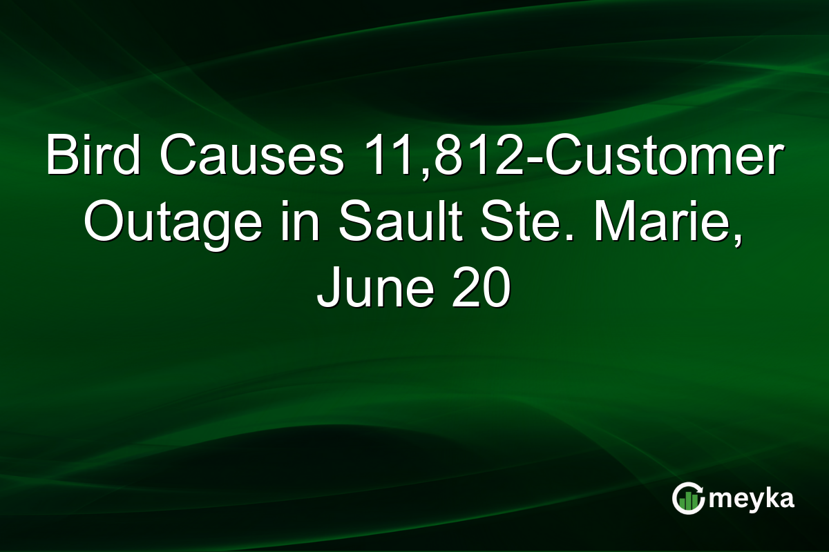 Bird Causes 11,812-Customer Outage in Sault Ste. Marie, June 20