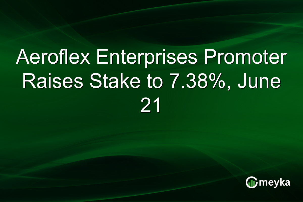 Aeroflex Enterprises Promoter Raises Stake to 7.38%, June 21