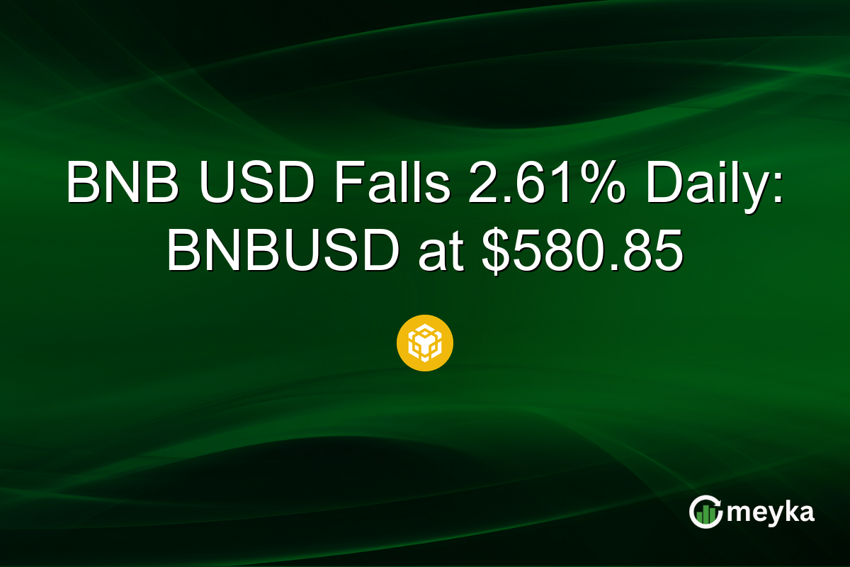 BNB USD Falls 2.61% Daily: BNBUSD at $580.85