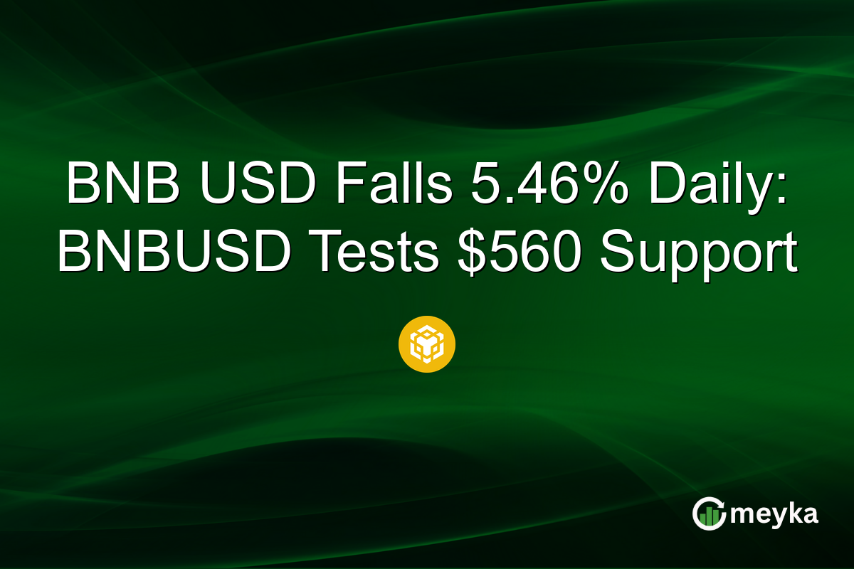 BNB USD Falls 5.46% Daily: BNBUSD Tests $560 Support