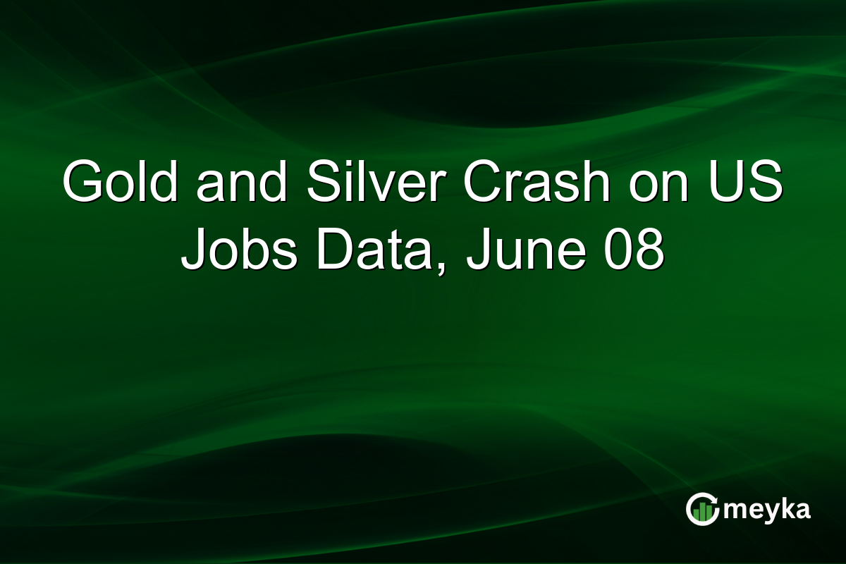 Gold and Silver Crash on US Jobs Data, June 08